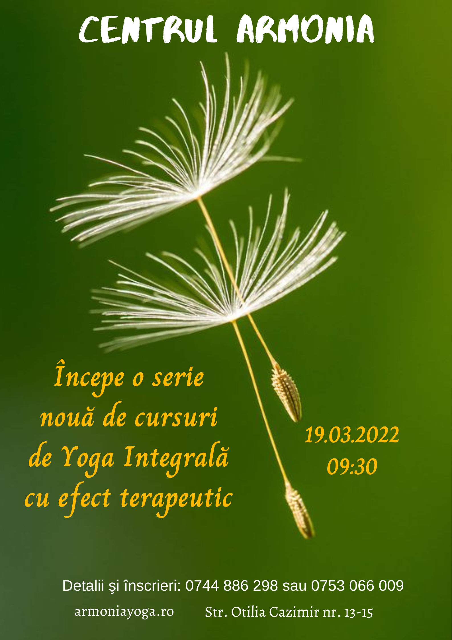 Cursuri de Yoga Integrală